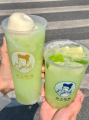 掀起绿色新风尚，沪上阿姨九周年焕新启动环保爱心公益行动